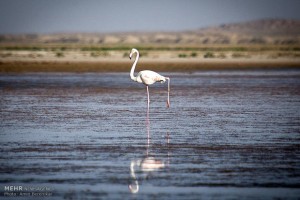 دریاچه بختگان