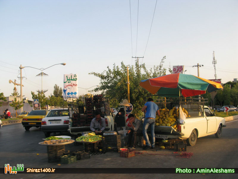 بیکاری و دست فروشی مزد ۳۰ سال تامین گندم کشور و حضور فارس در قله‌های علمی – فرهنگی کشور