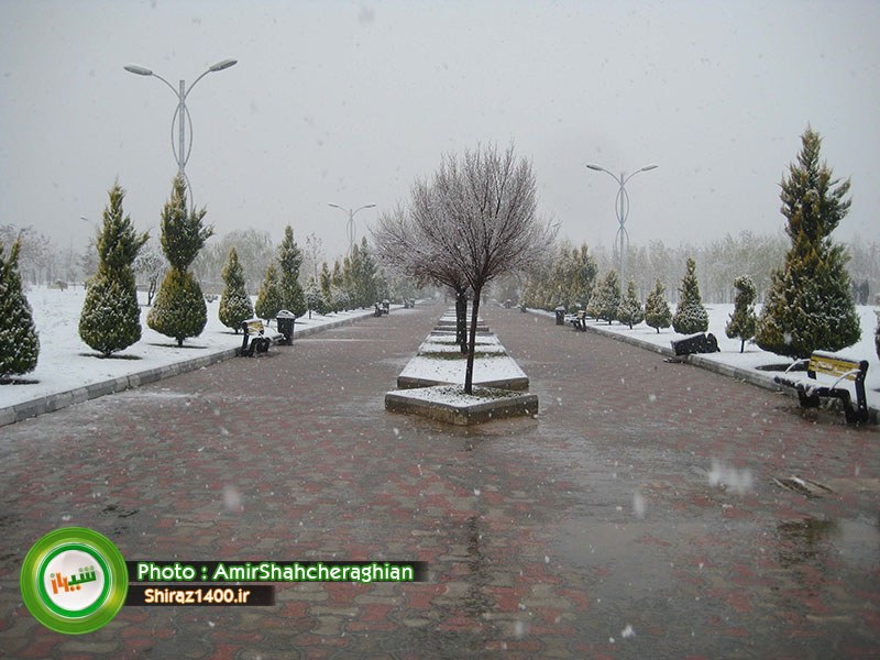 نگاه شما : بارش برف در شیراز – پارک شقایق