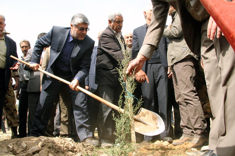 شهردار شیراز: درختکاری ۶۰۰ هکتار از ارتفاعات شیراز