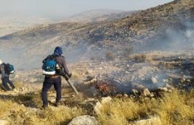 مهار آتش در ارتفاعات شاپورجان و سیخ دارنگون شیراز