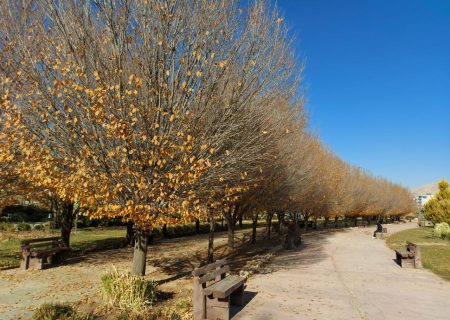 طبیعت زمستانی اکوپارک صدرا