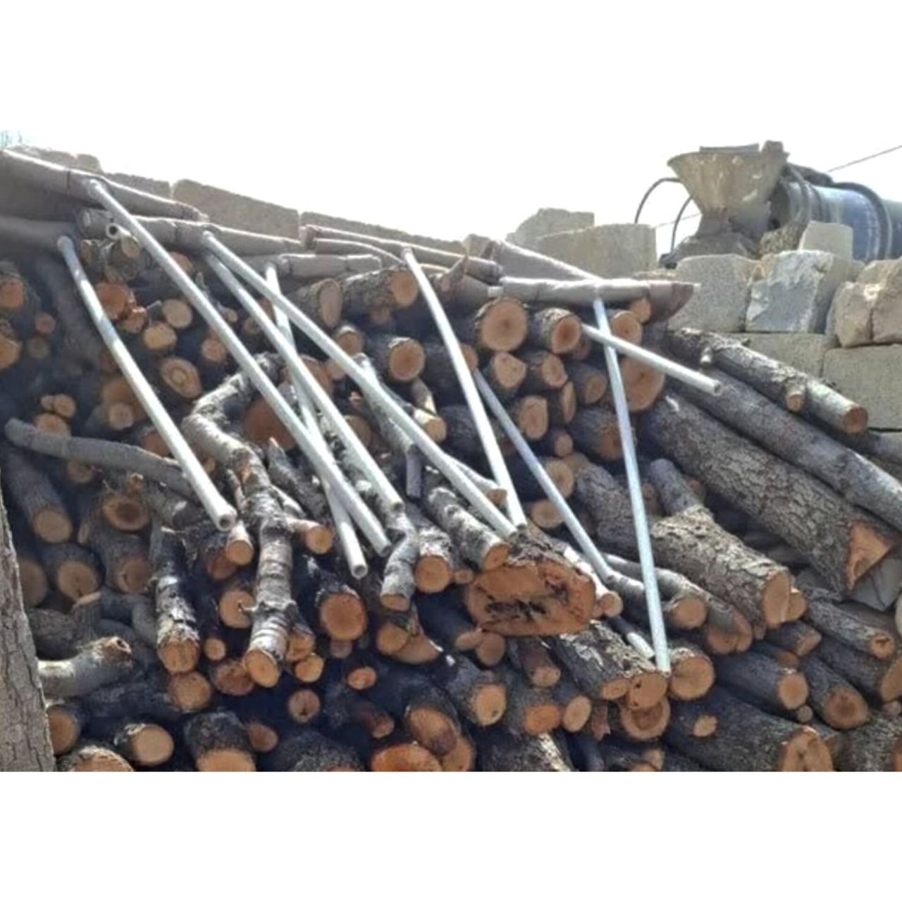 کشف و ضبط هیزم جنگلی بلوط در شیراز