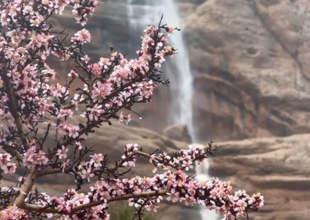 🎥: آبشار فصلی کوه سرخ شیراز