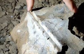 تحویل قطعه سنگ پیدا شده از تخت جمشید به میراث فرهنگی فارس