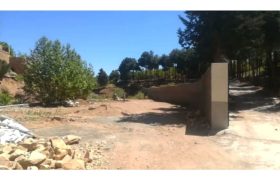 توقف دیوارگذاری غیرمجاز در حریم رودخانه قلات شیراز