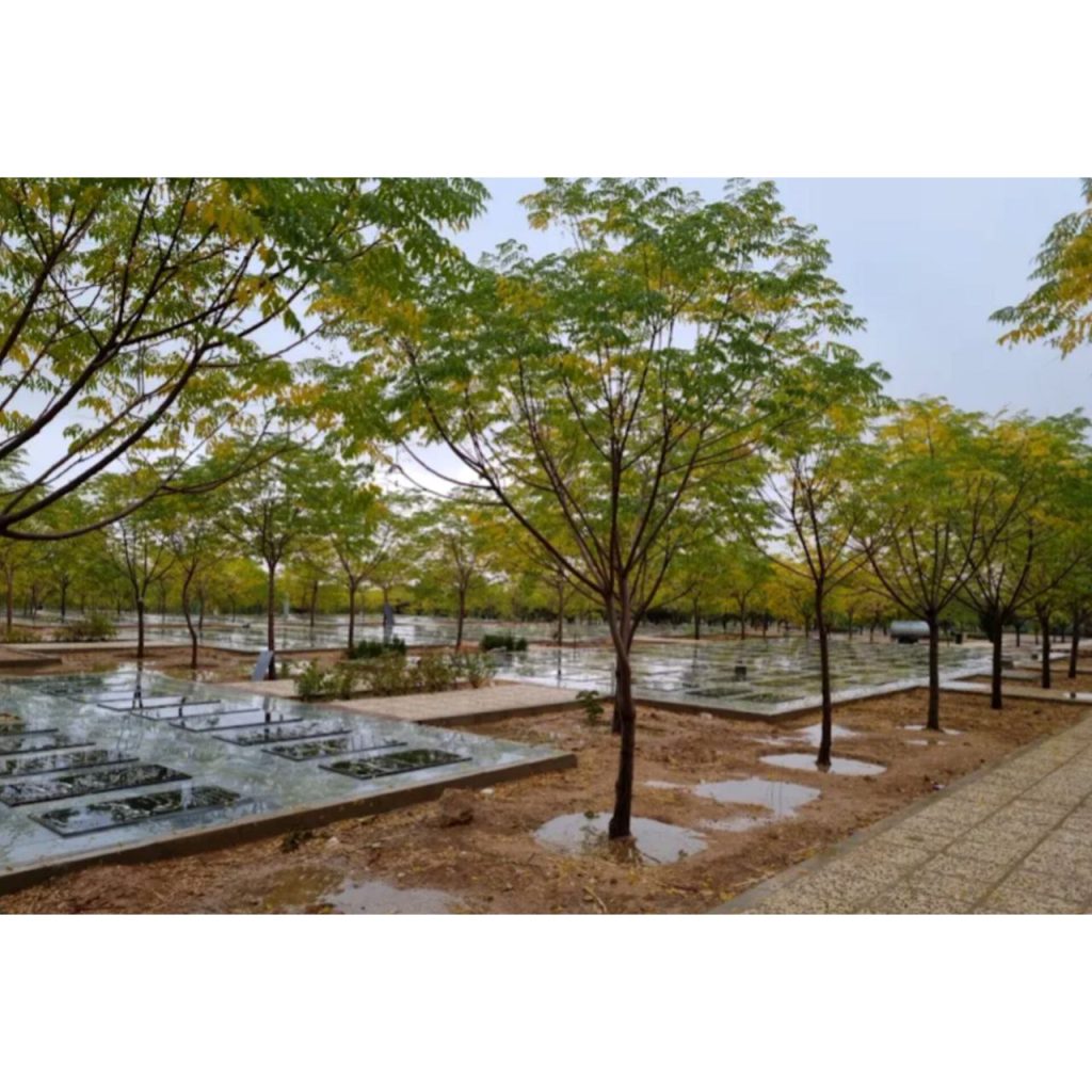 بررسی مشکلات آرامستان بهشت احمدی