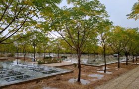 بررسی مشکلات آرامستان بهشت احمدی