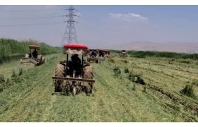 قلع‌ و قمع ۸۶۰ هکتار از مزارع آلوده به فاضلاب خام در شرق شیراز