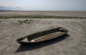 همه تالاب های فارس در معرض نابودی است