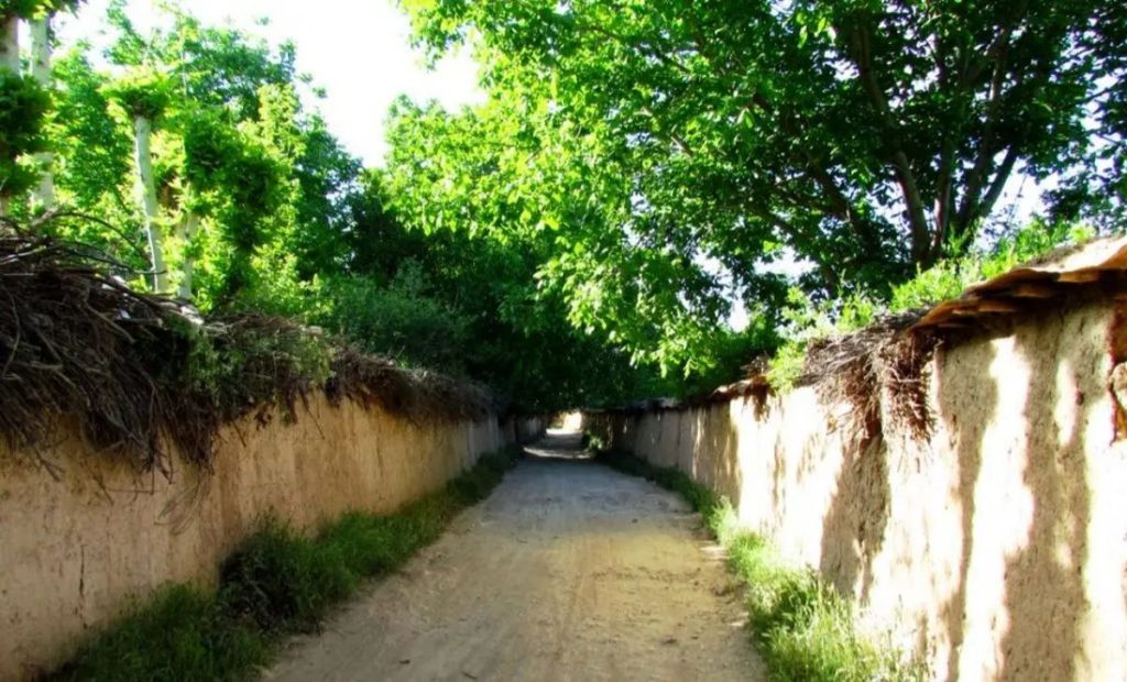 دوره انتظار آبیاری باغ های قصردشت کوتاهتر می شود