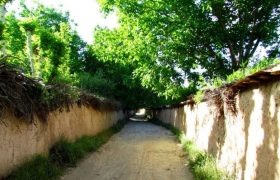 دوره انتظار آبیاری باغ های قصردشت کوتاهتر می شود