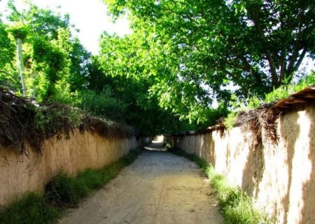 دوره انتظار آبیاری باغ های قصردشت کوتاهتر می شود