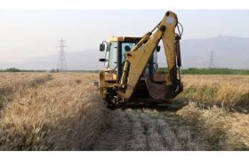 امحا مزارع آلوده در شیراز از ۱۰۰۰ هکتار گذشت