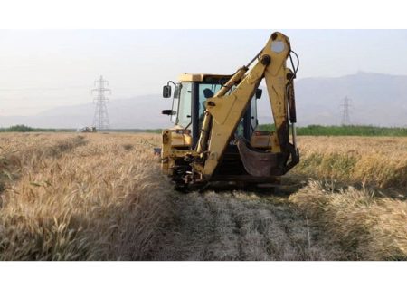 امحا مزارع آلوده در شیراز از ۱۰۰۰ هکتار گذشت