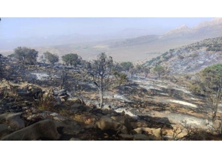 مهار آتش سوزی بهشت گمشده