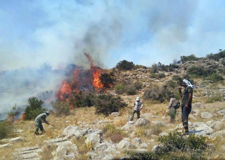 آتش‌سوزی گسترده در ارتفاعات دراک شیراز