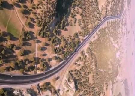 🎥: جنگل های بلوط حاشیه آزادراه شیراز