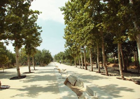 📸: پروژه باغ ایرانی