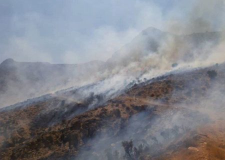 آتش‌سوزی کوه دراک شیراز مهار شد