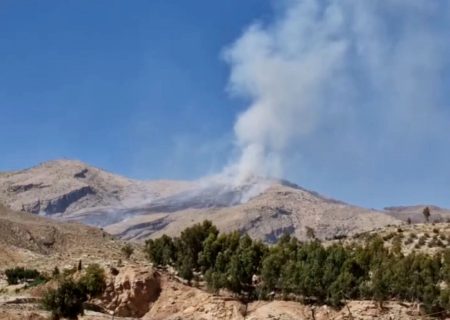 آتش سوزی های متعدد در ارتفاعات شیراز