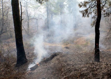 آتش سوزی در ارتفاعات بال سبز ممسنی پس از سه روز مهار شد