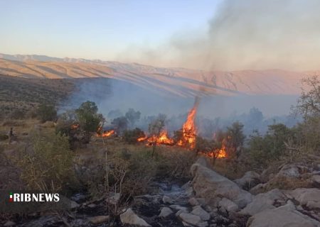 ارتفاعات روستای دشتک همچنان در محاصره آتش