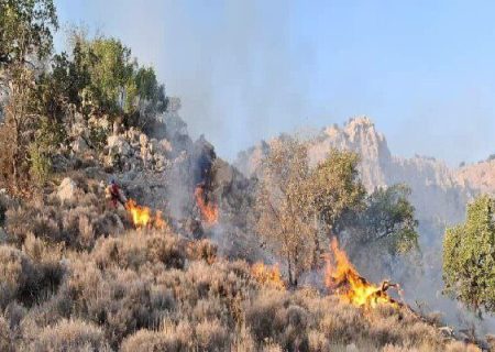 آتش‌سوزی دشتک مرودشت به غوره‌دان اقلید رسید