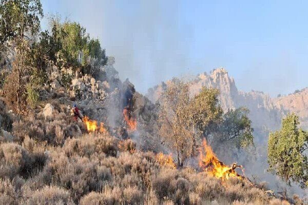 آتش‌سوزی دشتک مرودشت به غوره‌دان اقلید رسید
