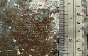 کشف کوچکترین سنگ نوشته باستانی در ایران