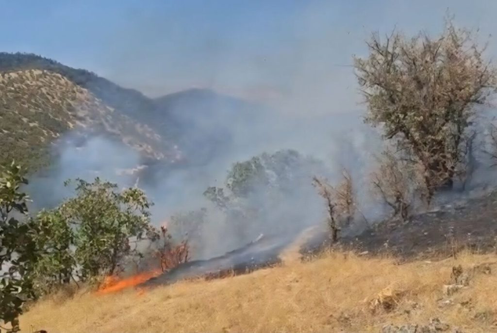 مهار آتش‌سوزی سه‌روزه در ارتفاعات بکان و امامزاده اسماعیل اقلید