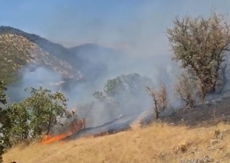 مهار آتش‌سوزی سه‌روزه در ارتفاعات بکان و امامزاده اسماعیل اقلید