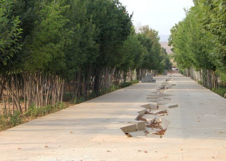 پیشرفت ۷۰ درصدی پروژه باغ ایرانی