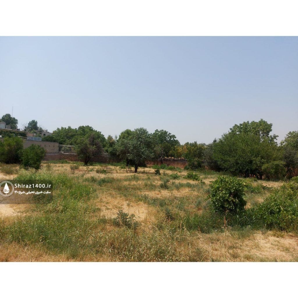 وضعیت باغات شیراز فاجعه بار است