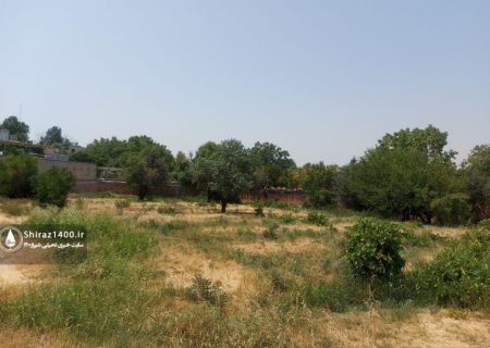 وضعیت باغات شیراز فاجعه بار است