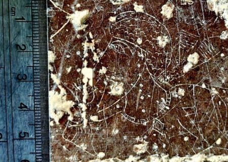 کشف یکی از کوچک‌ترین سنگ‌نگاره‌های اواخر دوره ساسانی در دشت مرودشت