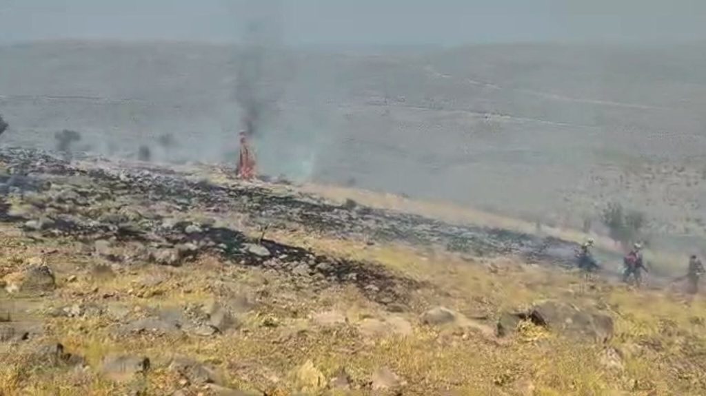 مهار آتش سوزی در ارتفاعات ارسنجان