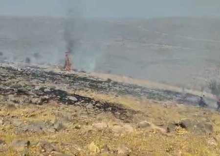 مهار آتش سوزی در ارتفاعات ارسنجان