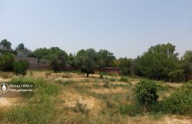 تهدید اکوسیستم شهری شیراز با از بین رفتن باغات قصردشت