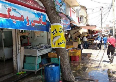 بازار ماهی فروشان در شرق شیراز ساخته می شود