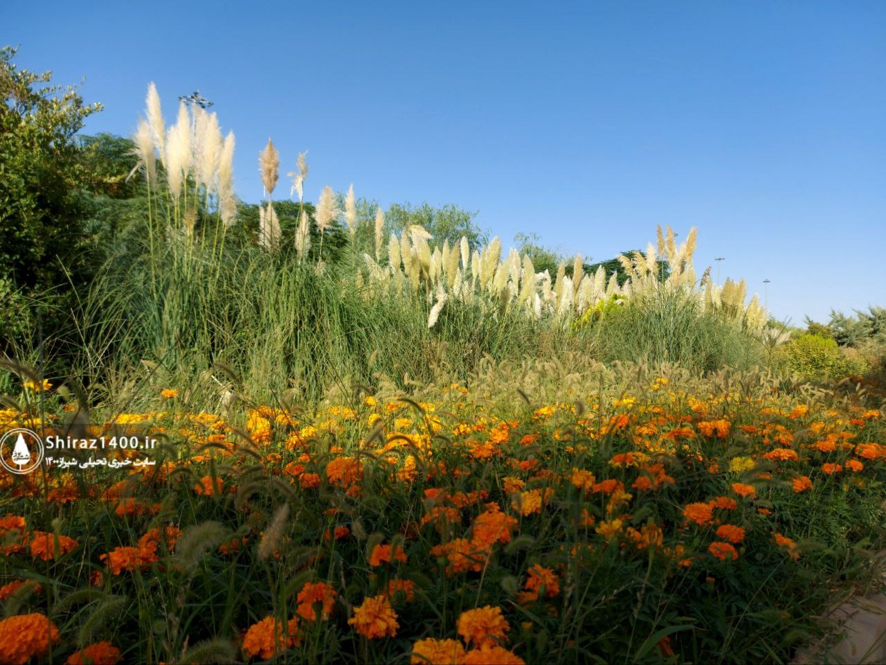 اکوپارک صدرا