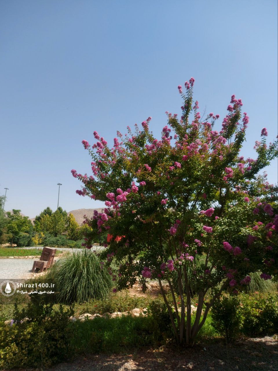 اکوپارک صدرا