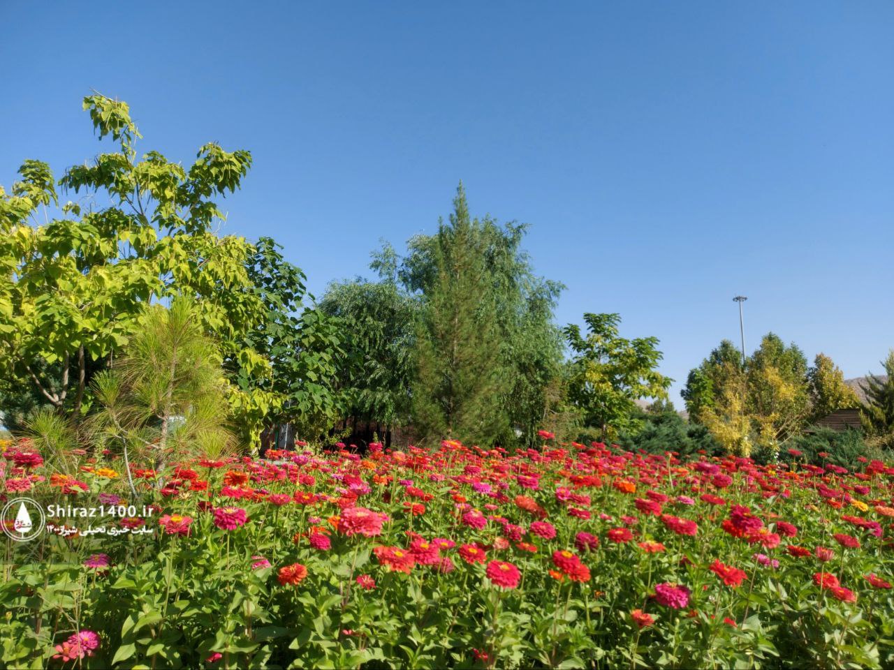 اکوپارک صدرا