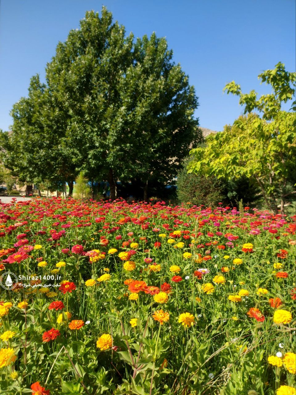 اکوپارک صدرا