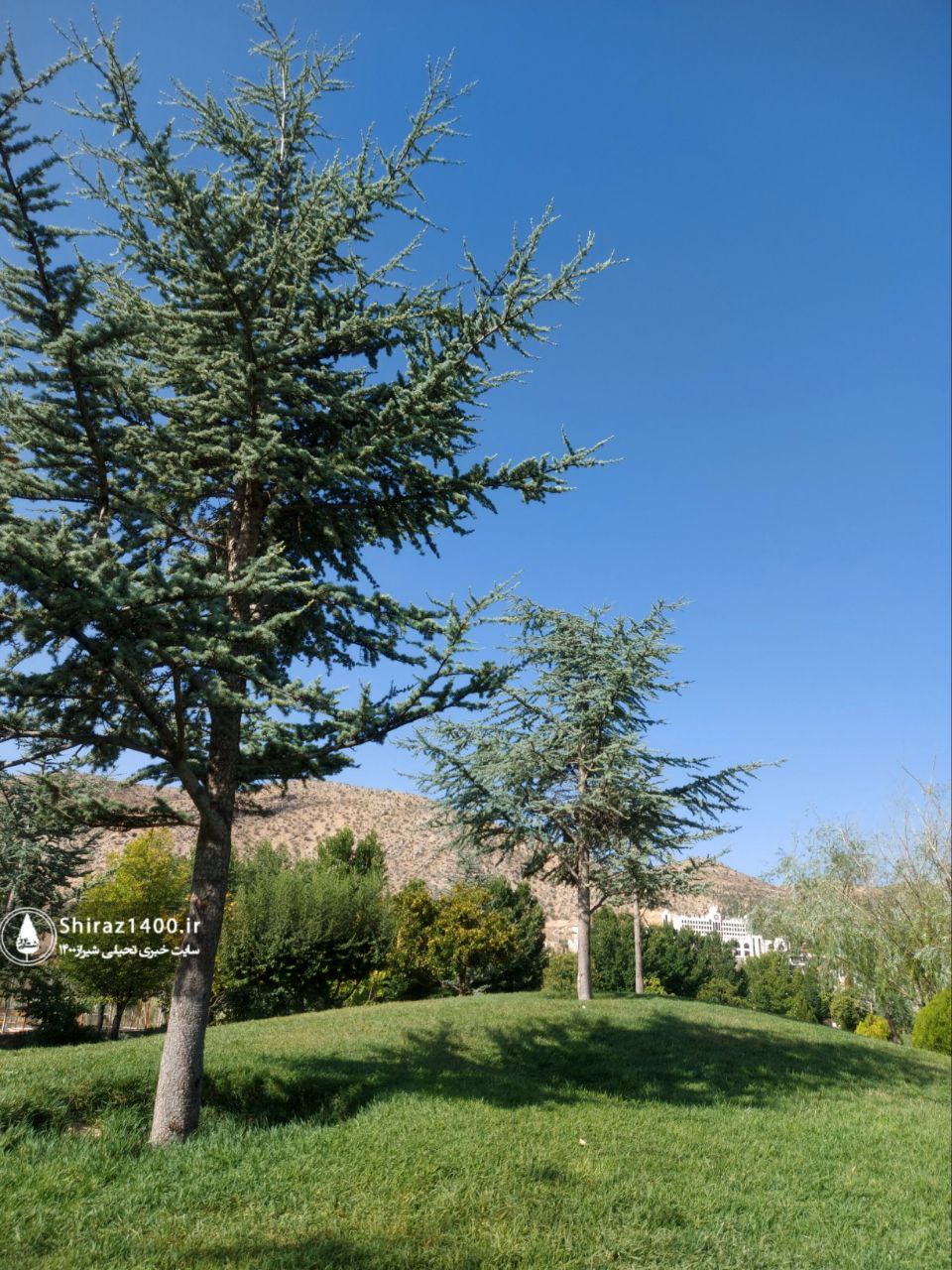 اکوپارک صدرا