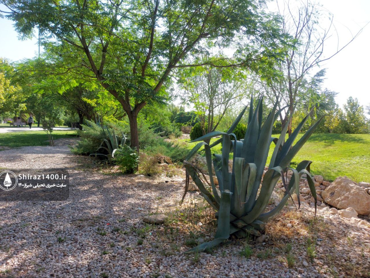 اکوپارک صدرا