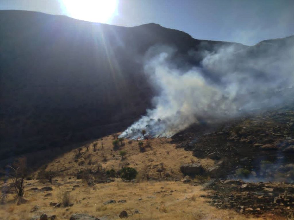 آتش به جان جنگل‌های خانیمن کامفیروز افتاد