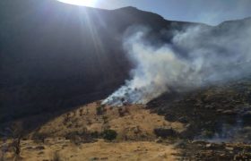 آتش به جان جنگلهای خانیمن کامفیروز افتاد