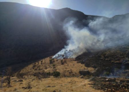 آتش به جان جنگل‌های خانیمن کامفیروز افتاد