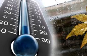 هشدار سرما و احتمال خسارت به محصولات کشاورزی فارس